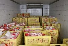 بحران مرغ در راه است؛ کمبود نهاده‌های دامی قیمت‌ها را بالا می‌برد!