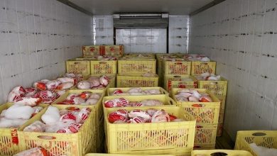 بحران مرغ در راه است؛ کمبود نهاده‌های دامی قیمت‌ها را بالا می‌برد!
