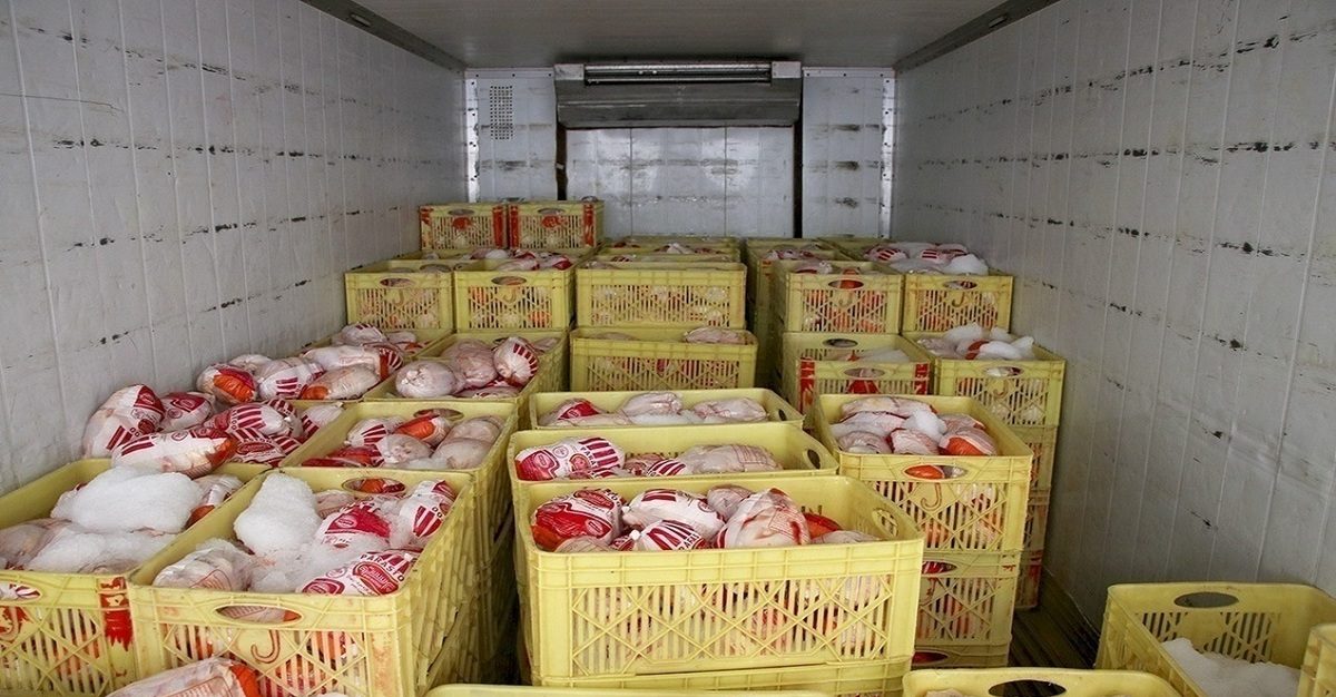 بحران مرغ در راه است؛ کمبود نهادههای دامی قیمتها را بالا میبرد!