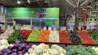 رصد بازار میوه و سبزیجات در ۱۲ آذر، از خیار 88 هزار تومانی تا سیر نیم میلیونی!