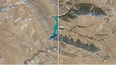 فضا هم دیده