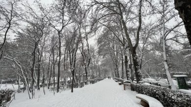 هشدار جدی هواشناسی: برف و باران سراسر کشور را فرا می‌گیرد؛ کاهش شدید دما