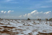 کوه‌های برفی عربستان