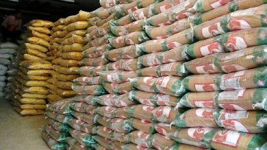 رئیس انجمن تولیدکنندگان برنج: کمبود ارز و نوسانات قیمت، ریشه مشکلات بازار برنج