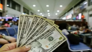 بورس در تب و تابِ تثبیت دلار ۱۰۴ هزار تومانی؛ پول هوشمند به بازار سرازیر شد