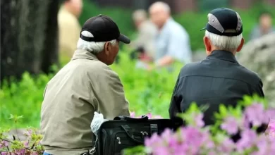 بیمه تکمیلی بازنشستگان زیر ذره‌بین؛ آیا مزایای بسته‌ها واقعاً تغییر می‌کند؟