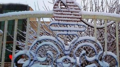 وزیر نفت: تأمین سوخت زمستانی کشور با آمادگی کامل انجام می‌شود