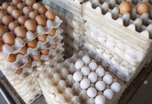 صادرات میلیاردی مرغ و تخم‌مرغ با ارز یارانه‌ای؛بازگشت ارز در ابهام