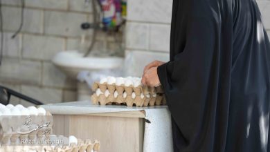 قیمت تخم‌مرغ به ۳۰۰ هزار تومان رسید؛ ناهنجاری‌های جدی در شبکه توزیع