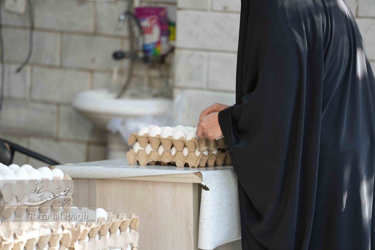 قیمت تخم‌مرغ به ۳۰۰ هزار تومان رسید؛ ناهنجاری‌های جدی در شبکه توزیع