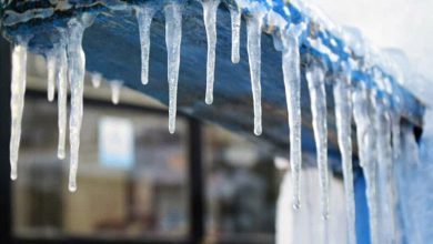 زیر انجماد رفت