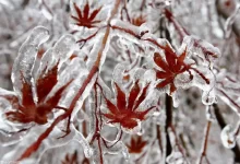 توده هوای سرد از ۲۷ آذر تا اول دی در کشور ماندگار است