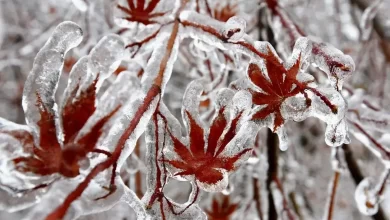 توده هوای سرد از ۲۷ آذر تا اول دی در کشور ماندگار است