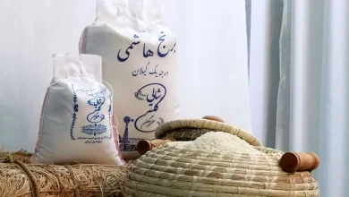تولید برنج پرمحصول؛ ایران از چین کمک گرفت تا به خودکفایی برسد