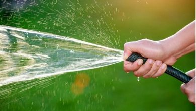 تولید گندم ۱۵۰۰ لیتر آب