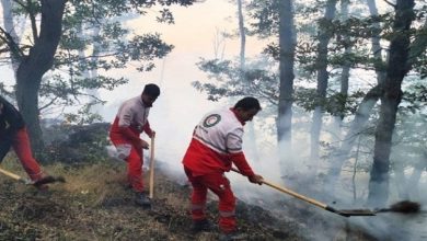 جنگل‌های گلستان