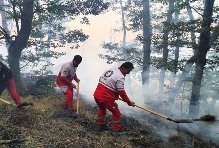 جنگل‌های گلستان
