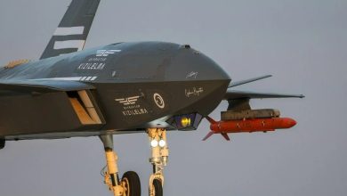 جنگنده قزل‌الما