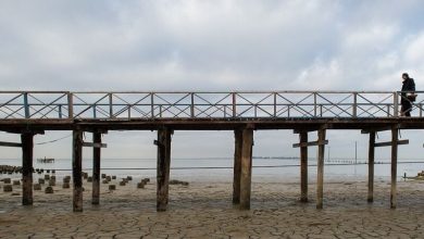 آیا دریای خزر به سمت خشکی کامل می‌رود؟