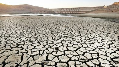 بحران آب در ایران: شدیدترین خشکسالی ۴۰ سال اخیر و احتمال تخلیه شهرها