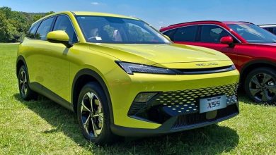 بازار منطقه