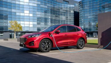 سیاست سبز اروپا