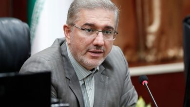 آیا دولت به سقف درآمدی خود رسیده است؟ هشدار داود منظور درباره محدودیت بودجه ۱۴۰۵