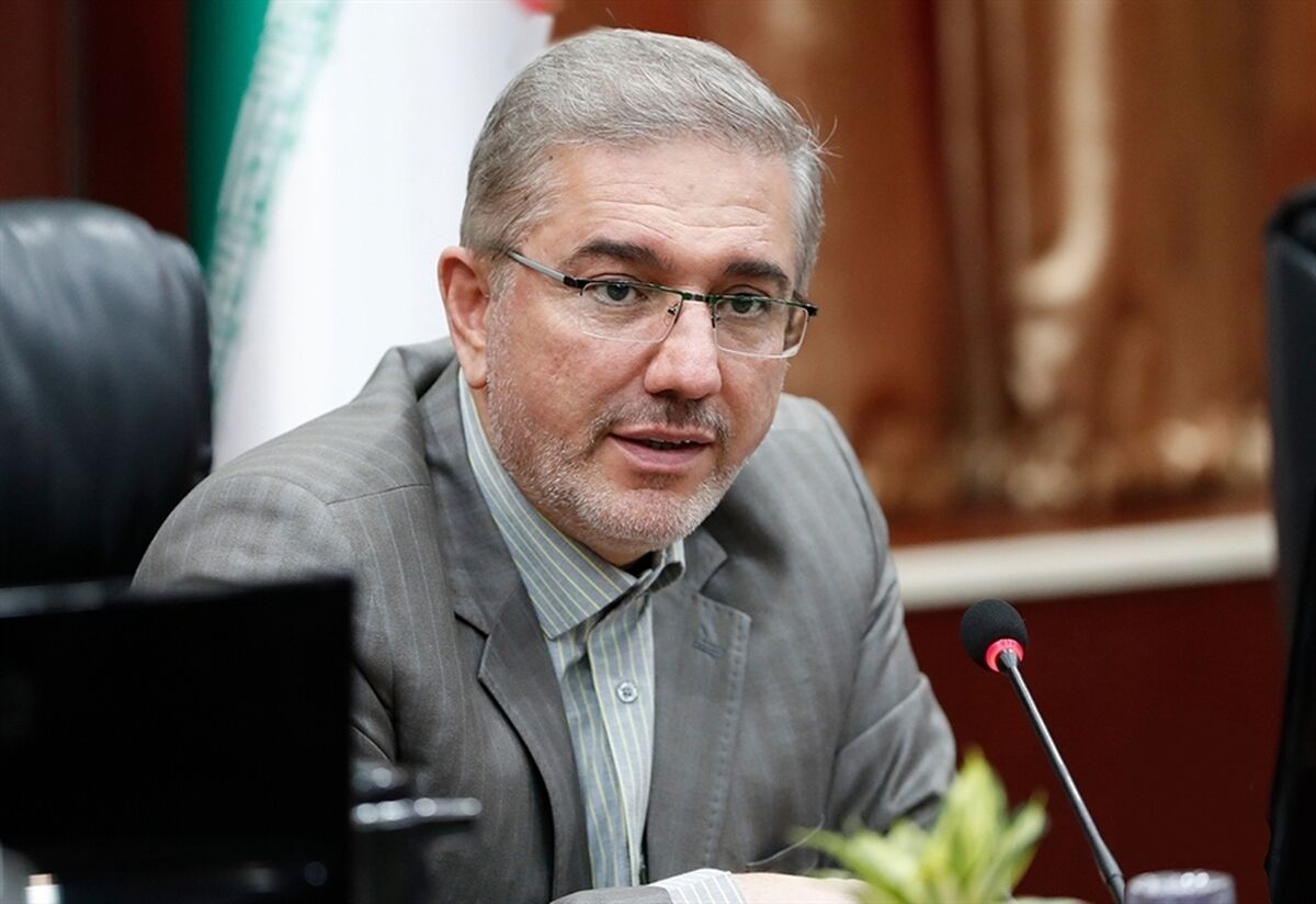 آیا دولت به سقف درآمدی خود رسیده است؟ هشدار داود منظور درباره محدودیت بودجه ۱۴۰۵