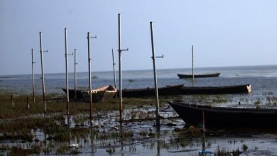 دریای خزر در حال خشک‌شدن است