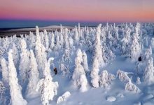 راز سفیدی برف