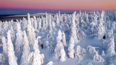 راز سفیدی برف