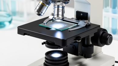 راهنمای خرید میکروسکوپ آزمایشگاهی بر اساس نوع کاربرد و بودجه