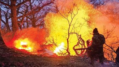 سازمان محیط زیست