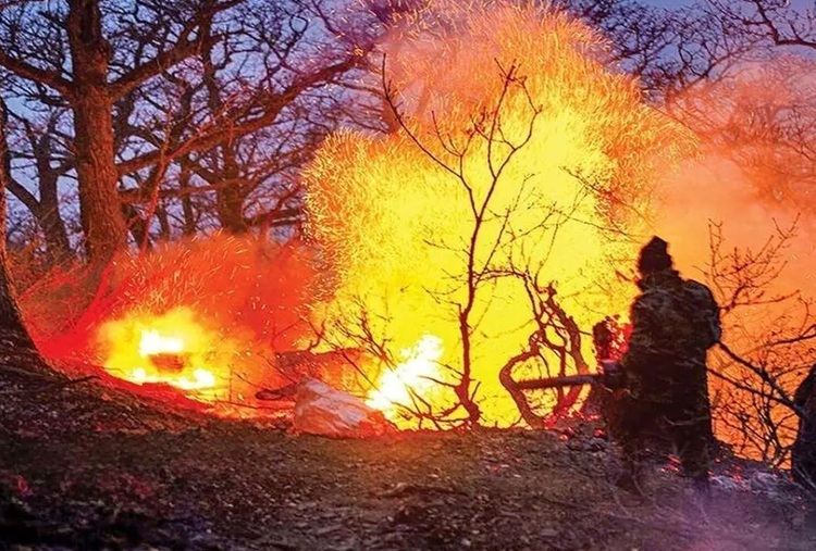 سازمان محیط زیست