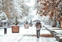 سازمان هواشناسی