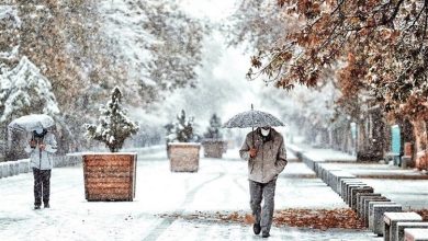 سازمان هواشناسی