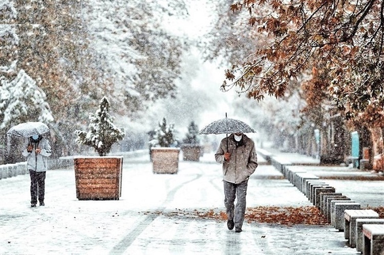 سازمان هواشناسی