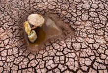 سازمان هواشناسی