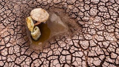 سازمان هواشناسی