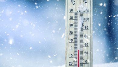 سازمان هواشناسی