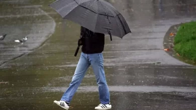 سازمان هواشناسی