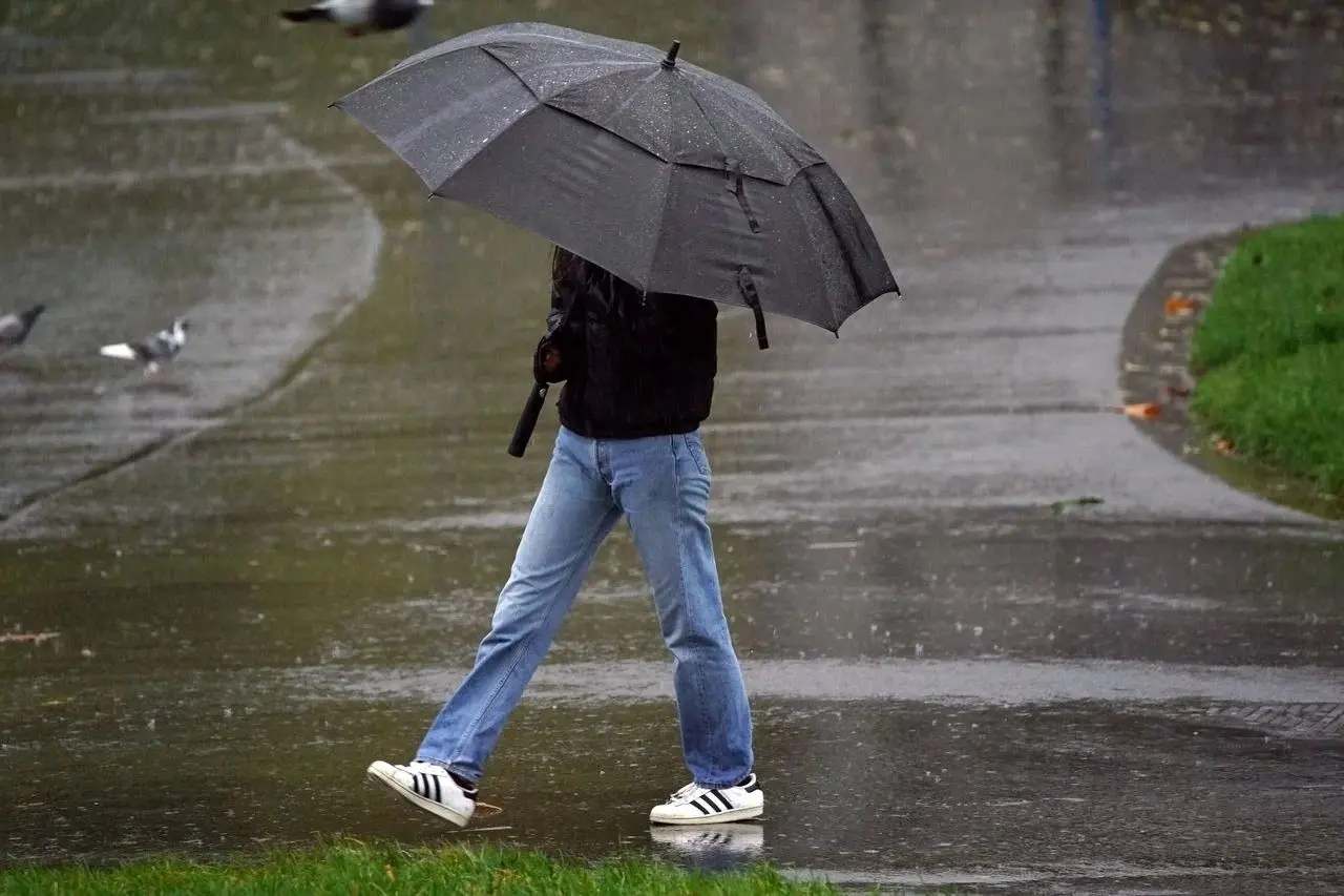 سازمان هواشناسی