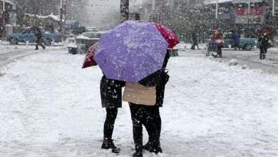 سازمان هواشناسی