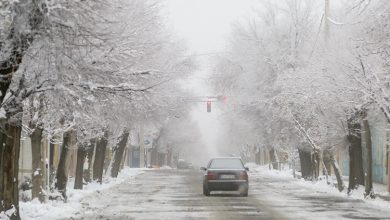 سازمان هواشناسی