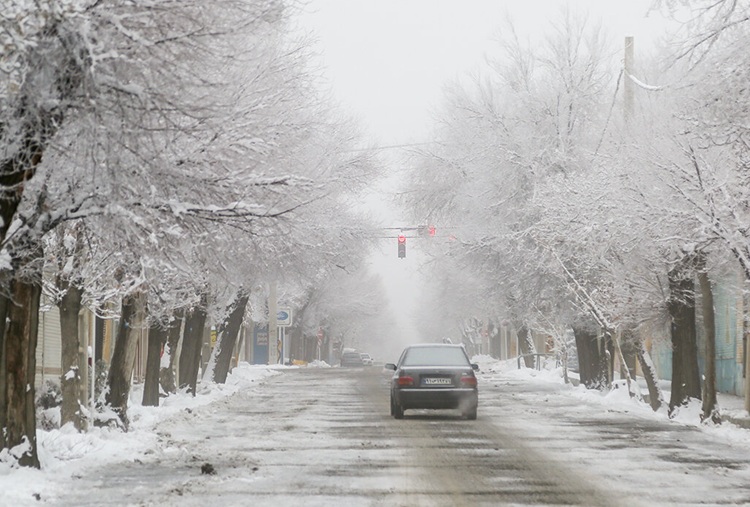سازمان هواشناسی