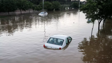 سازمان هواشناسی