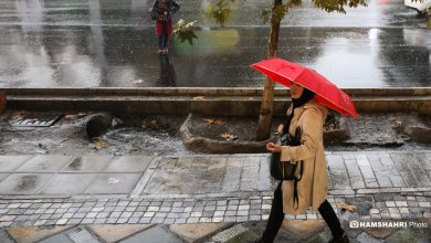 سهم نابرابر