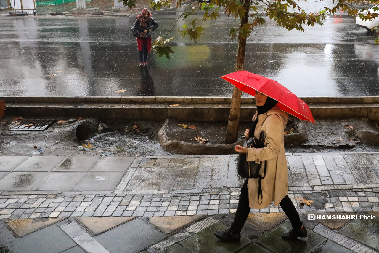 سهم نابرابر