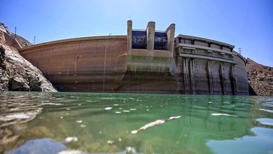 بارورسازی ابرها