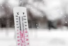 زیر تیغ یخبندان